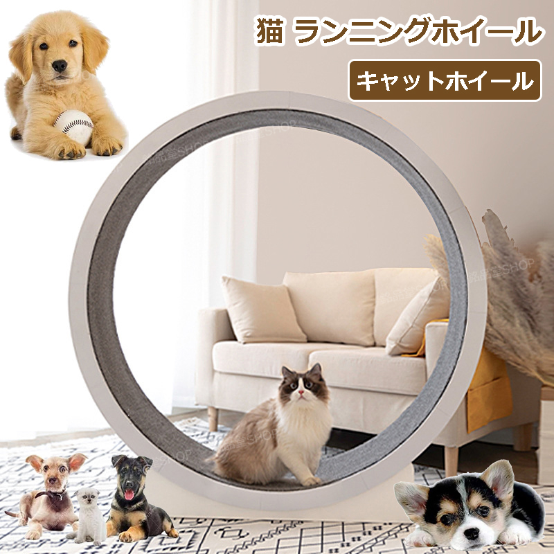 楽天市場】楽天1位獲得☆ キャットホイール 猫 ランニングホイール