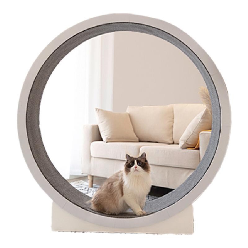 楽天市場】楽天1位獲得☆ キャットホイール 猫 ランニングホイール