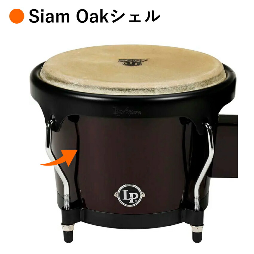 楽天市場】LP LPA601-DW ダークウッド Aspire ウッドボンゴ ボンゴ