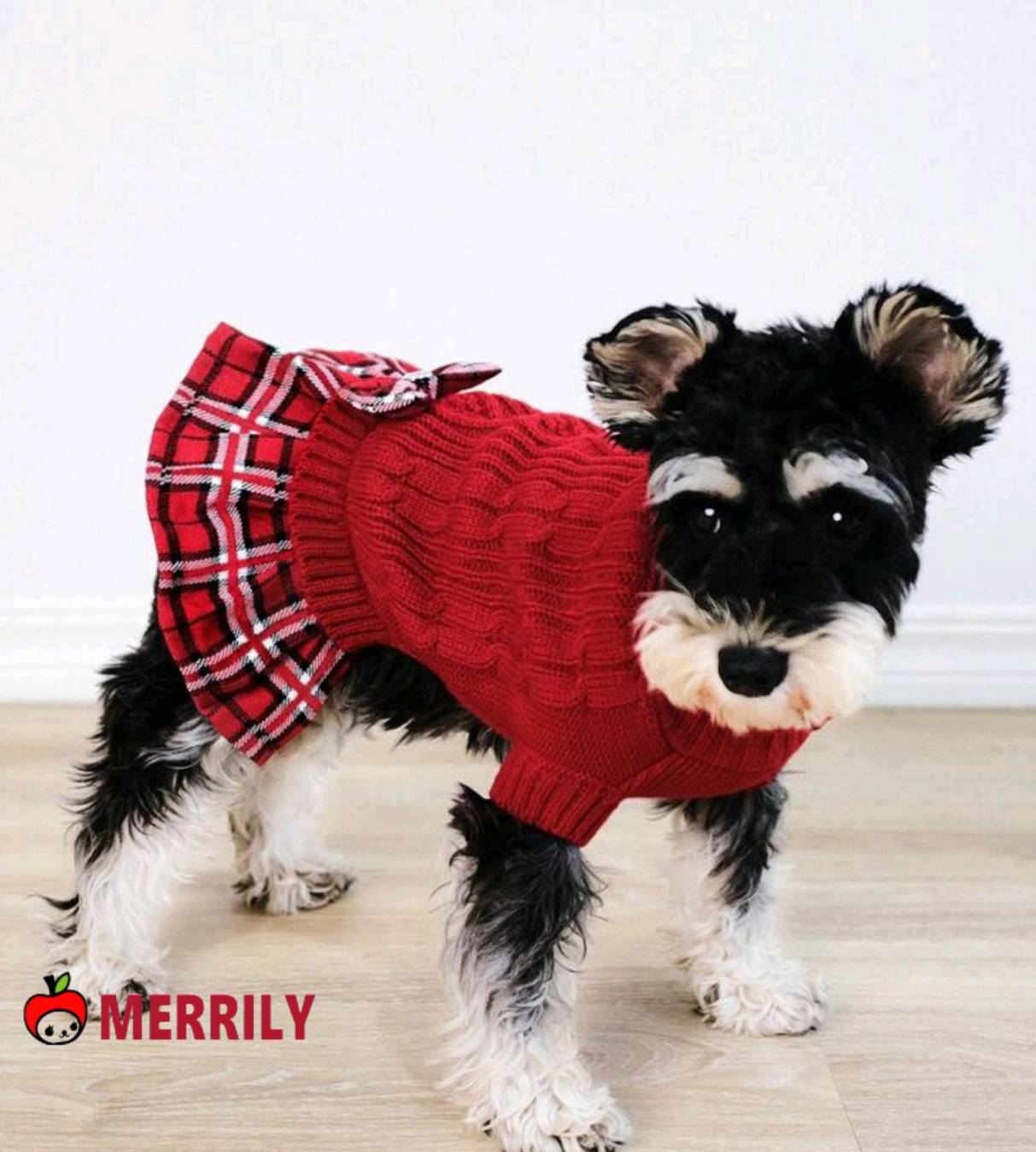 楽天市場】犬 服 ニット スカート付 ワンピース レッド 犬の服 犬服