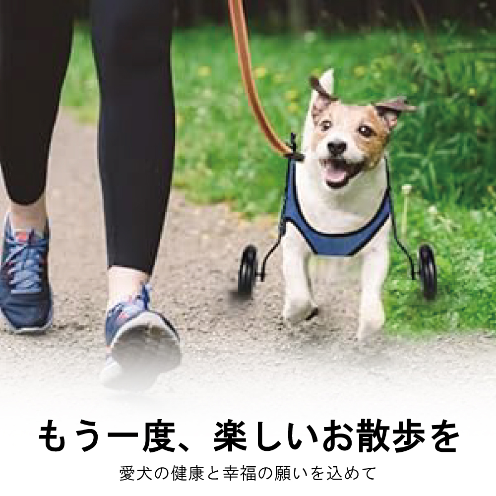 楽天市場】＼楽天1位／犬用車椅子 歩行器 車いす 後ろ足 2輪 歩行補助