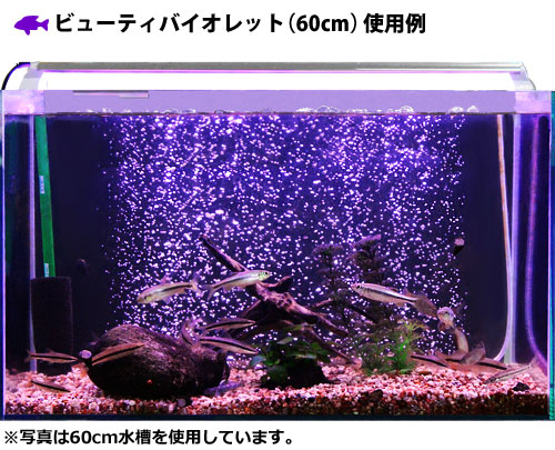 楽天市場】ゼンスイ 水槽用LEDランプ PLUS 45cm (パーフェクトクリア