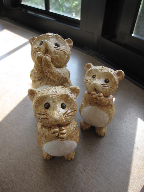 楽天市場】信楽焼き信楽願い 狸 信楽置物 親子さんたぬき : 園芸百貨店