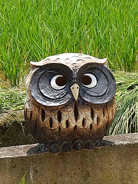 信楽焼 陶照明 フクロウ灯 枝乗りフクロウ 713 【公式通販】