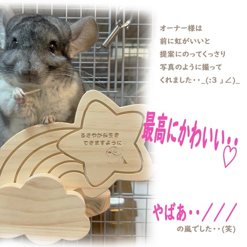 土星型のステップ 小動物用ステップ 小動物 チンチラ 小動物用品
