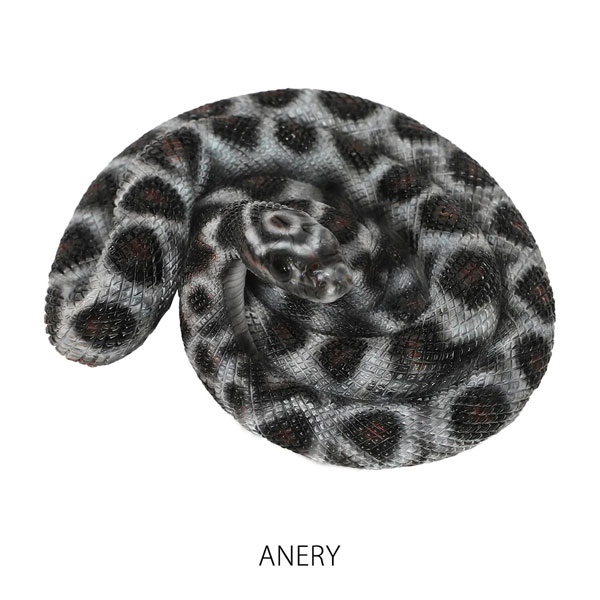 max protection スリーブ 蛇 スネーク アナコンダ 50枚 max protection