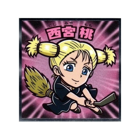 呪術廻戦 西宮桃 紙類まとめ売り 1447枚