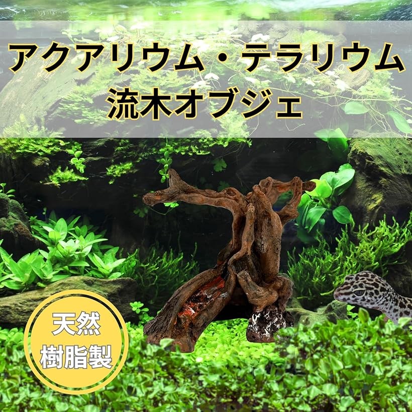 楽天市場】【楽天ランキング1位入賞】爬虫類 流木 登り木 テラリウム