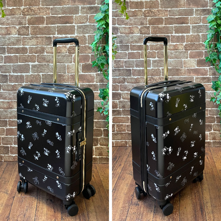 楽天市場】スーツケース Sサイズ 30L 機内持ち込み可 ディズニー