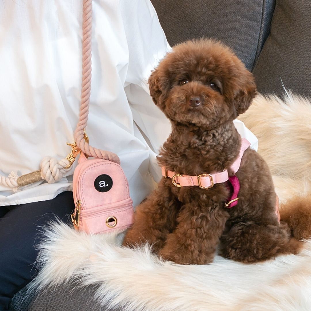 楽天市場】送料無料 ブランケット 犬用 ベッド ブラウン グレー 直輸入