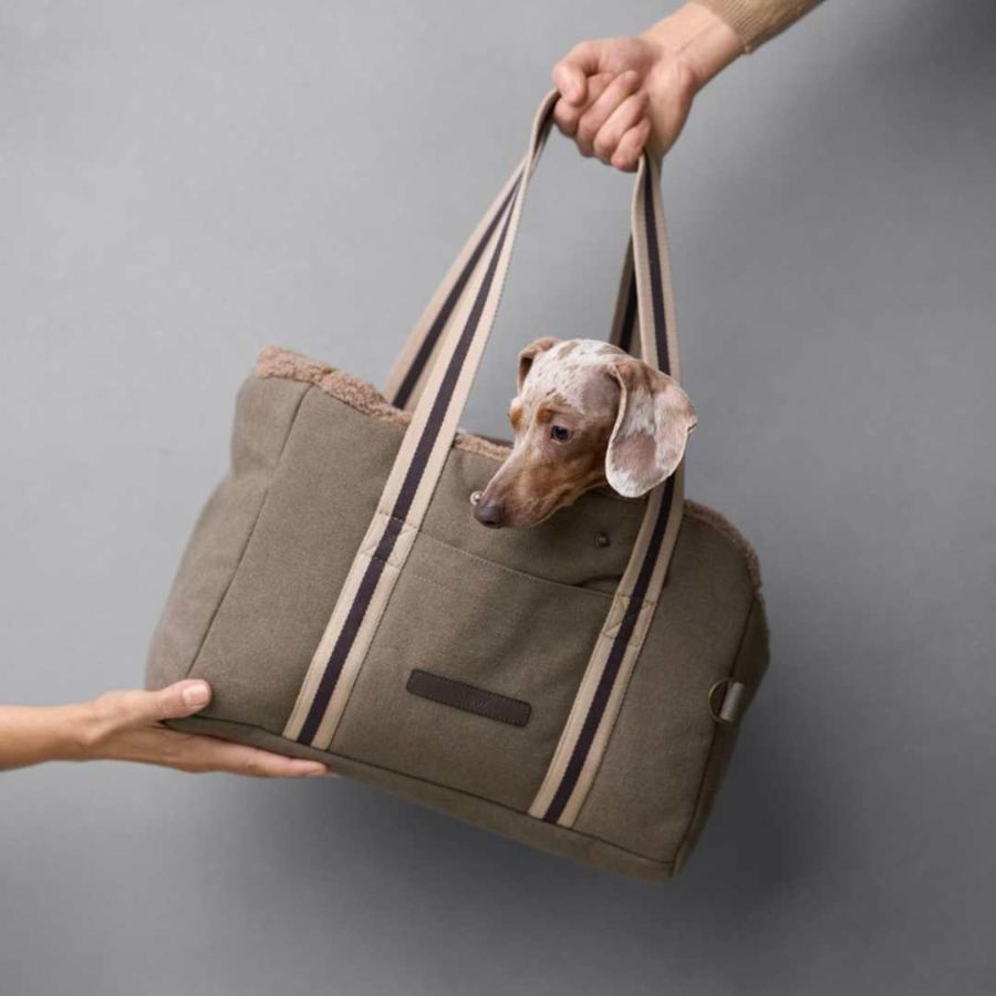 楽天市場】Cloud7 キャリーバッグ カーキー 送料無料 クラウドセブン