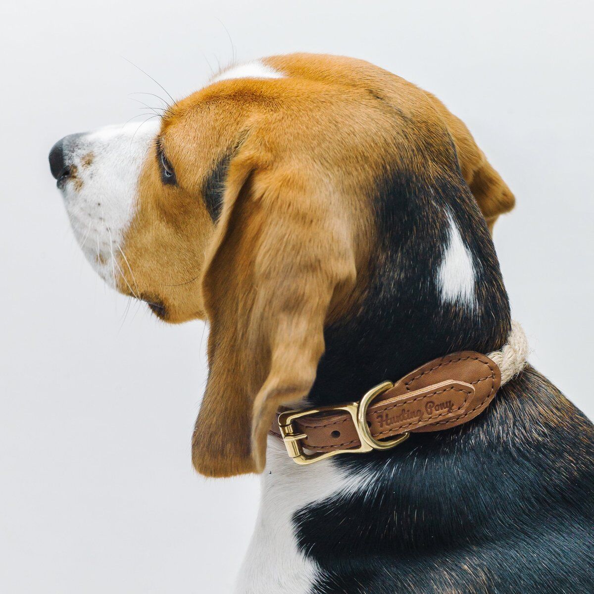 楽天市場】サイズ交換無料 犬首輪 天然素材 ハンティングポニー 散歩