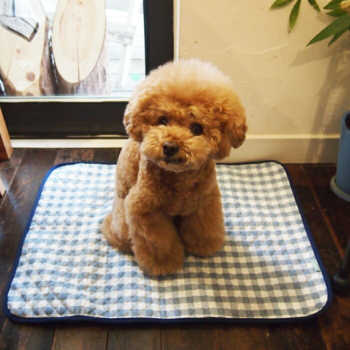 楽天市場】【送料無料】【あす楽/ネコポス】カフェマット 【チェック柄