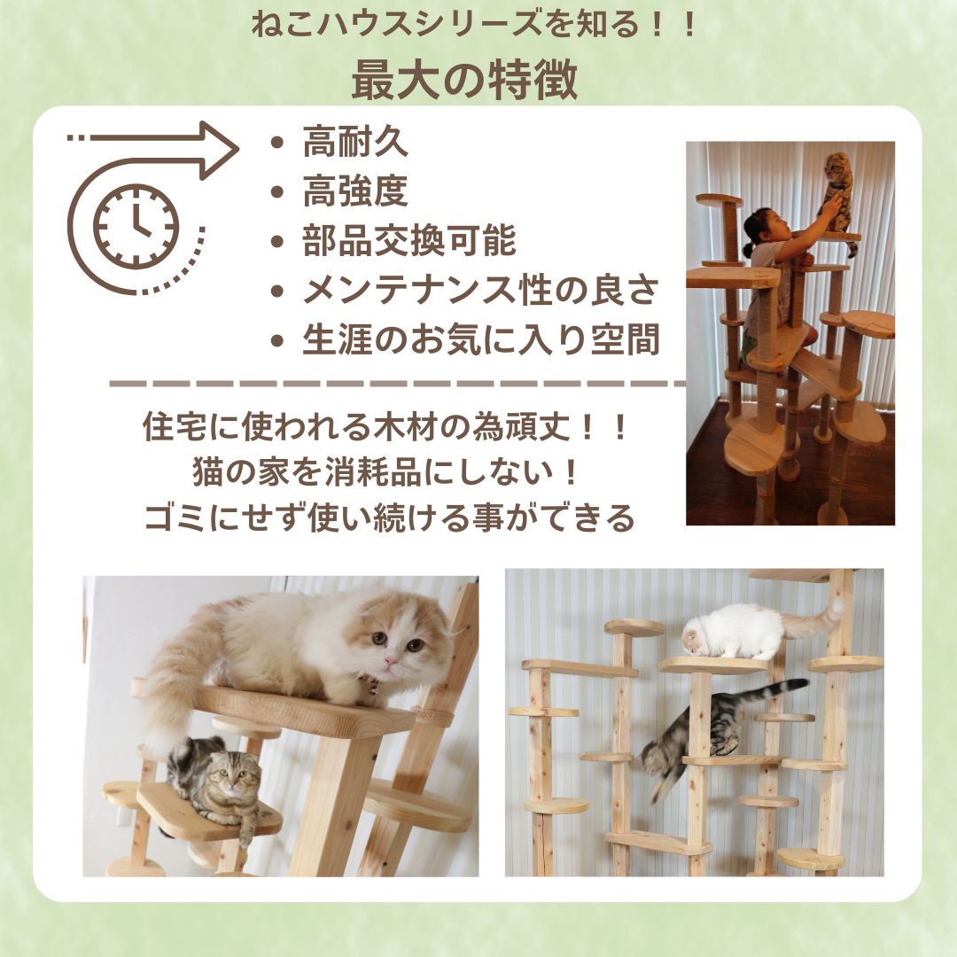 楽天市場】【 P5倍 購入額で最大10%offｸｰﾎﾟﾝ 雑誌 ananにゃんこLOVE