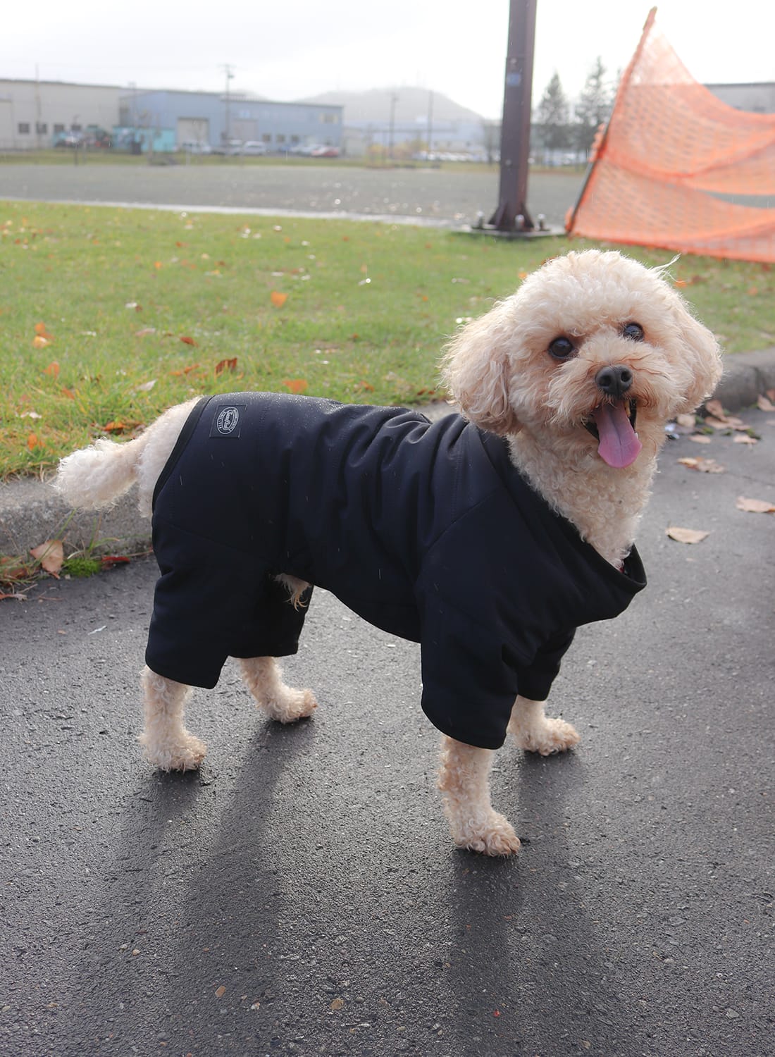 楽天市場】【まとめ買い対象】【40％OFF SALE セール】Snow Peak