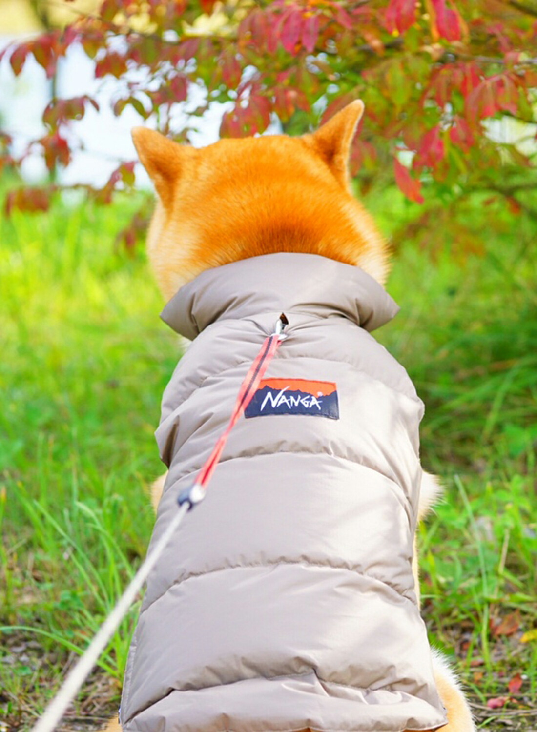 楽天市場】【ランキング1位】【返品交換送料無料】NANGA（ナンガ）DOG