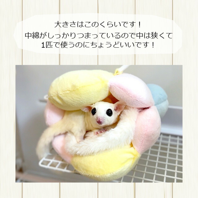 楽天市場】フクロモモンガのもっちりふわふわ貝殻ポーチ 吊り下げ可能