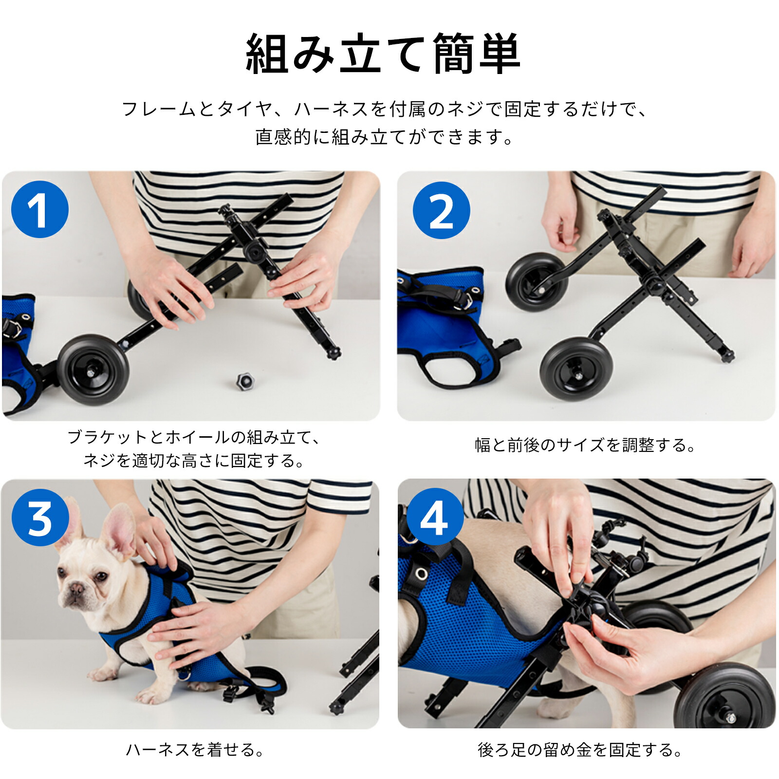 楽天市場】犬用車いす 犬用車椅子 後ろ足 リハビリ 介護 歩行器 歩行