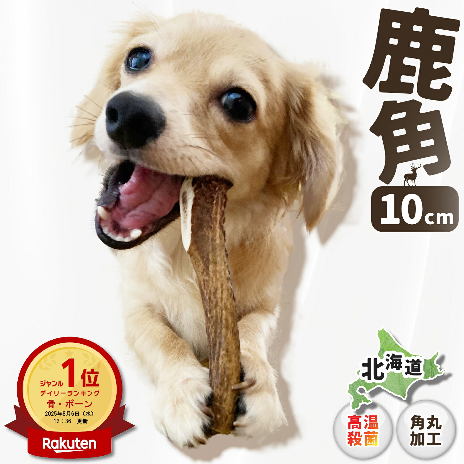楽天市場】【 10cm 小型犬 】鹿の角 犬 おもちゃ 犬用 しかのつの 噛む