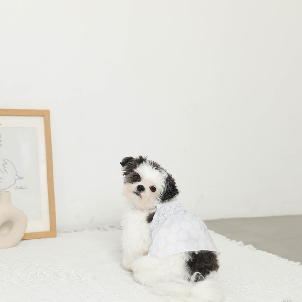 楽天市場】【LINE追加10%OFFクーポン】 moncheri モンシェリ 犬 服