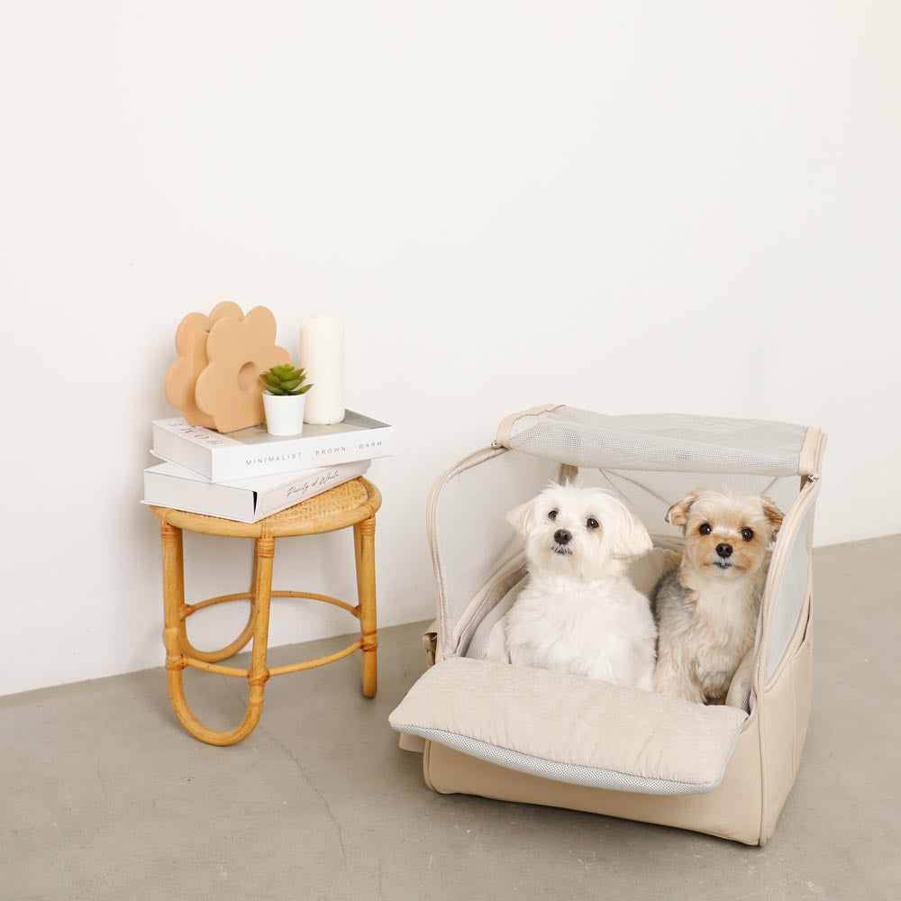 楽天市場】【期間限定10%OFF】moncheri モンシェリ 犬 お散歩 お出かけ