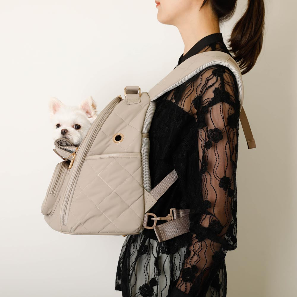 楽天市場】【LINE追加10%OFFクーポン】 moncheri モンシェリ 犬 ペット