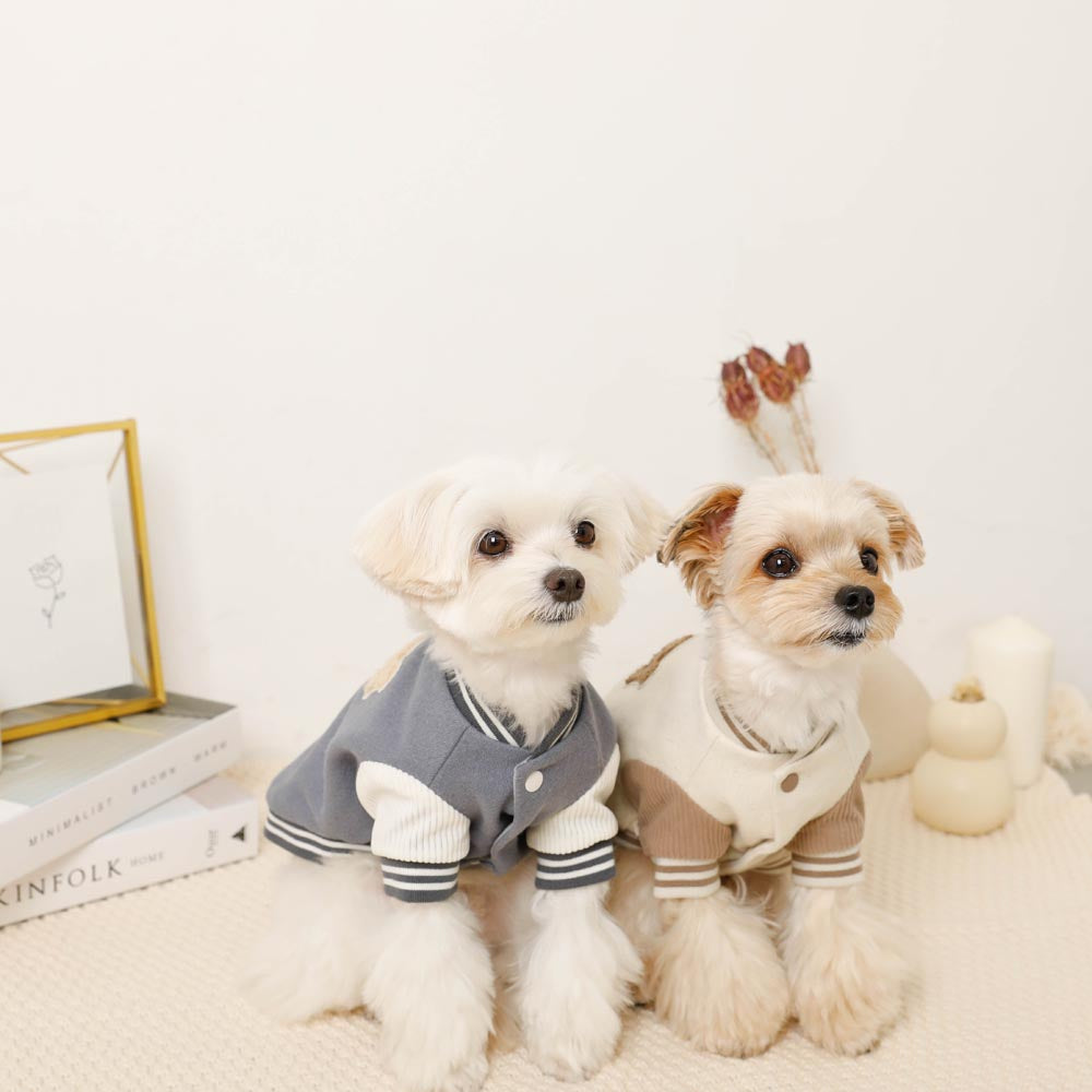 楽天市場】【期間限定50%OFF】moncheri モンシェリ 犬 服 ドッグウェア