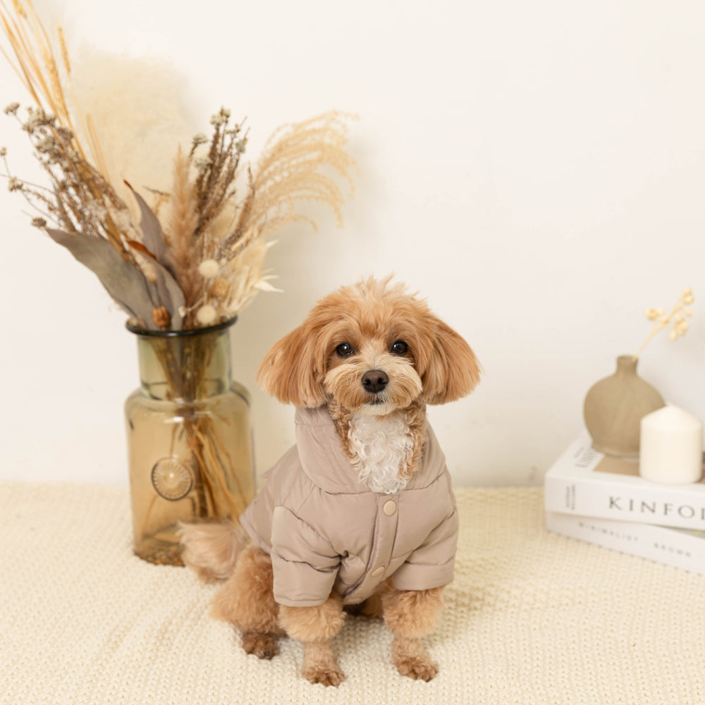 楽天市場】【期間限定50%OFF】moncheri モンシェリ 犬 服 ドッグウェア