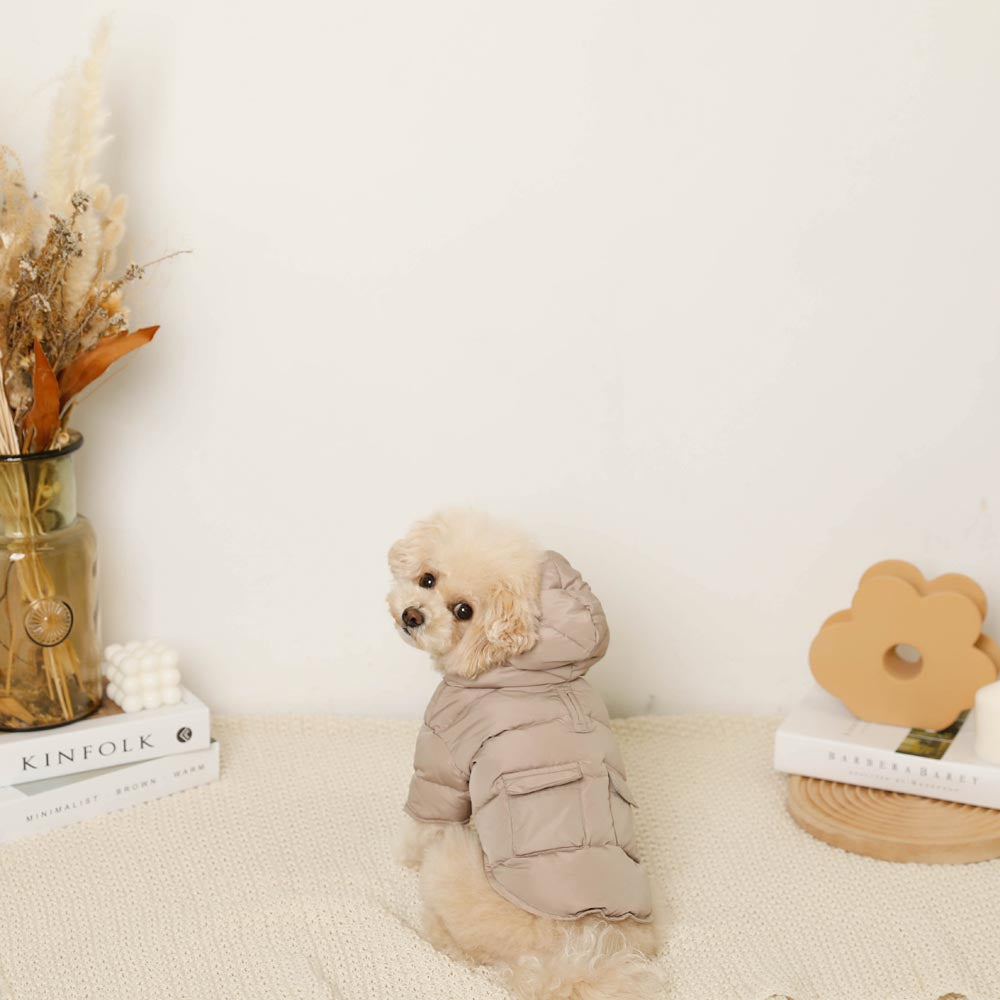 楽天市場】【期間限定50%OFF】moncheri モンシェリ 犬 服 ドッグウェア