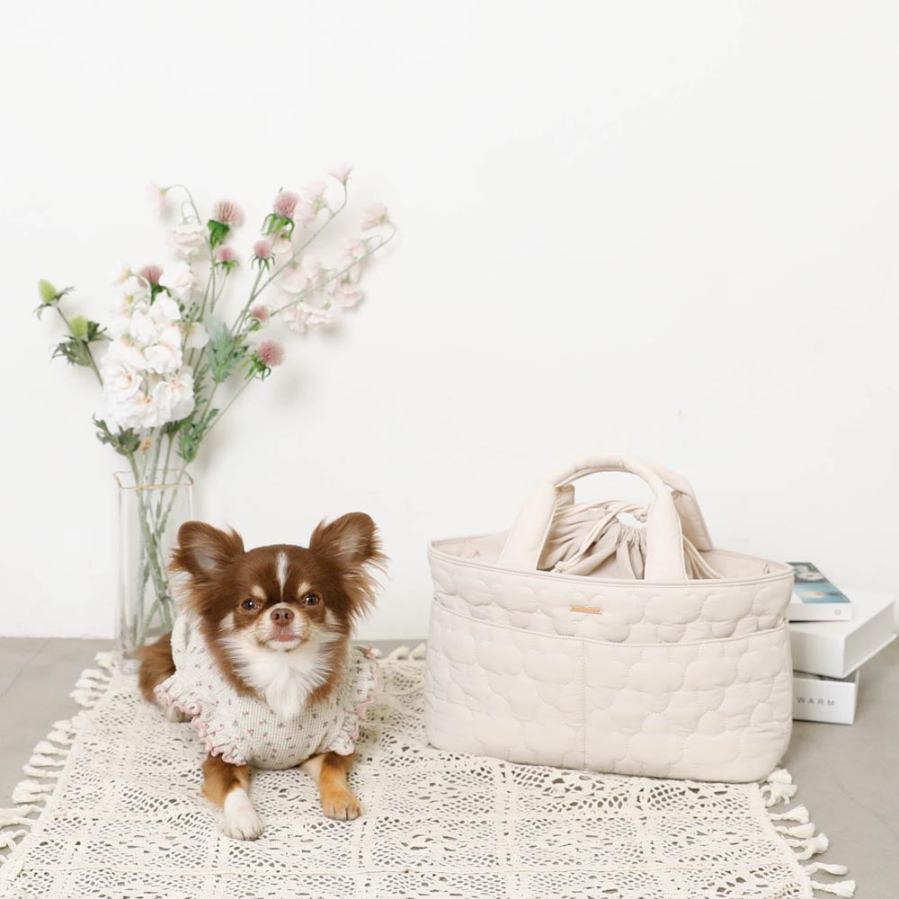 楽天市場】【LINE追加10%OFFクーポン】moncheri モンシェリ 犬 お散歩