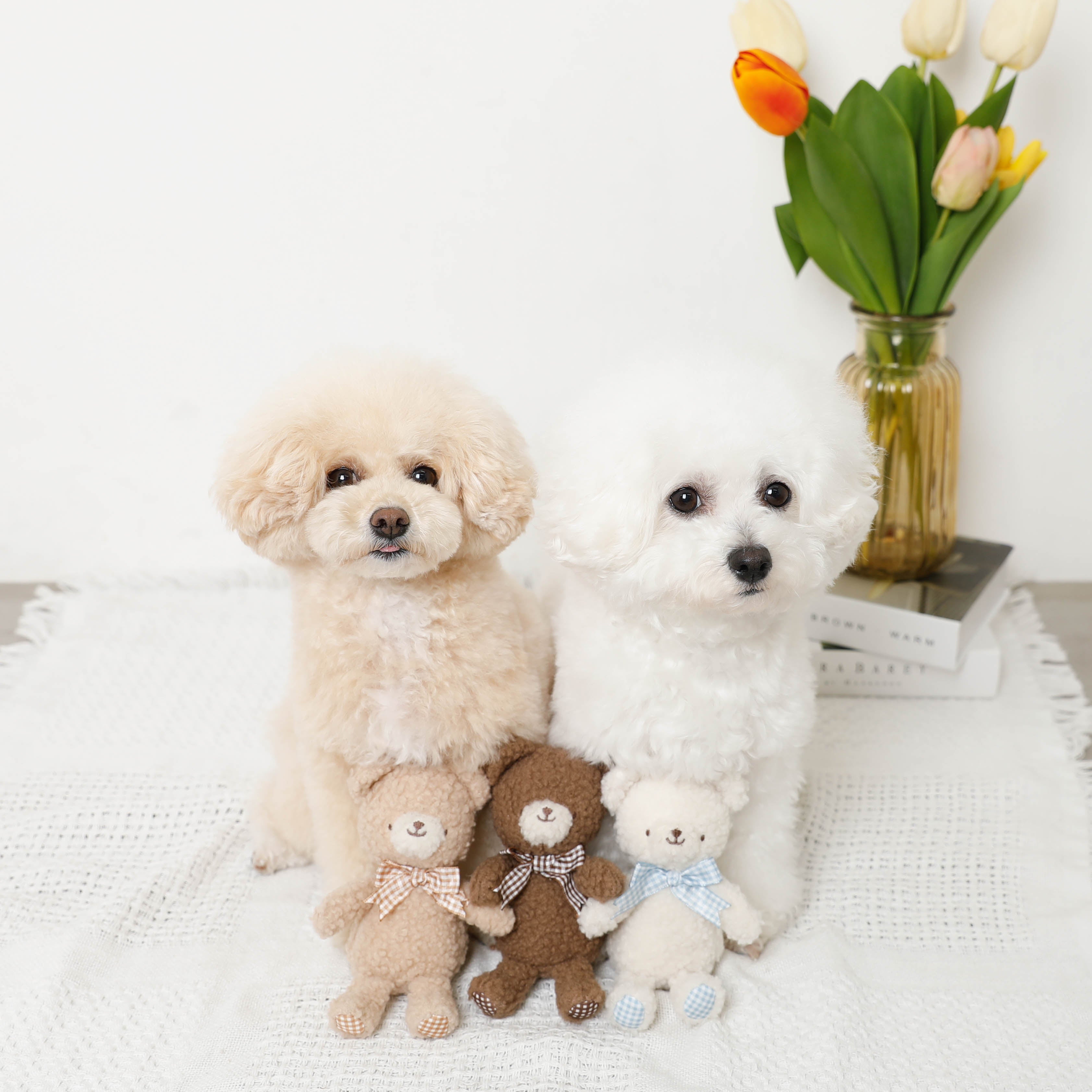 楽天市場】【LINE追加10%OFFクーポン】 moncheri モンシェリ 犬