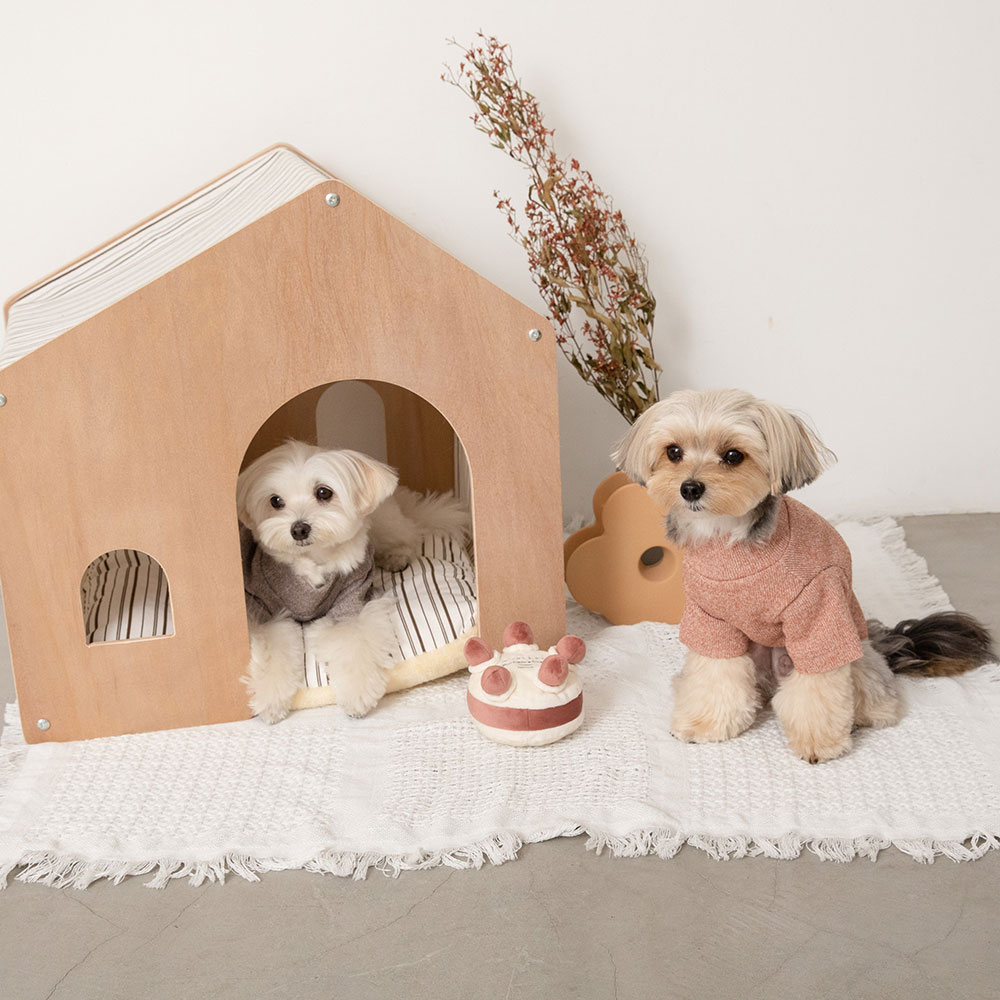 楽天市場】【LINE追加10%OFFクーポン】 moncheri モンシェリ 犬