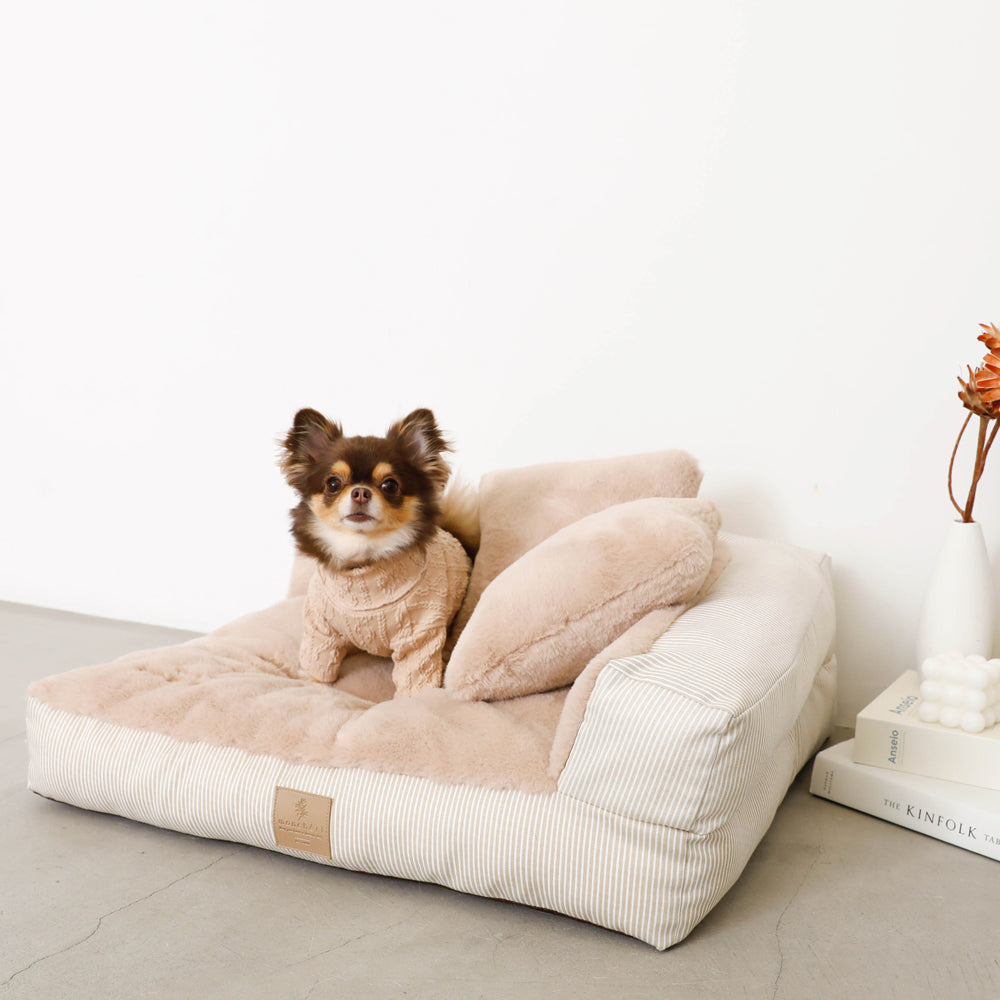 楽天市場】【期間限定30%OFF】moncheri モンシェリ 犬 クッション