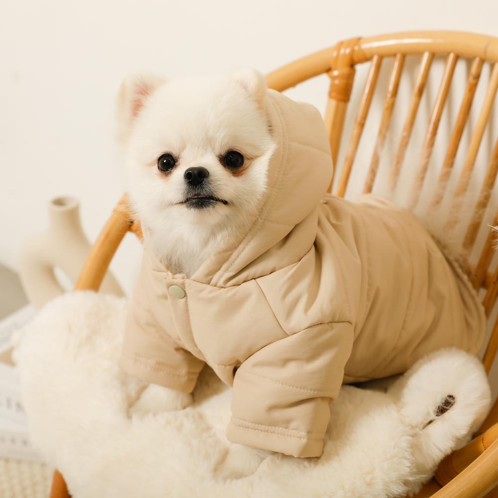 楽天市場】【期間限定40%OFF】moncheri モンシェリ 犬 服 ドッグウェア