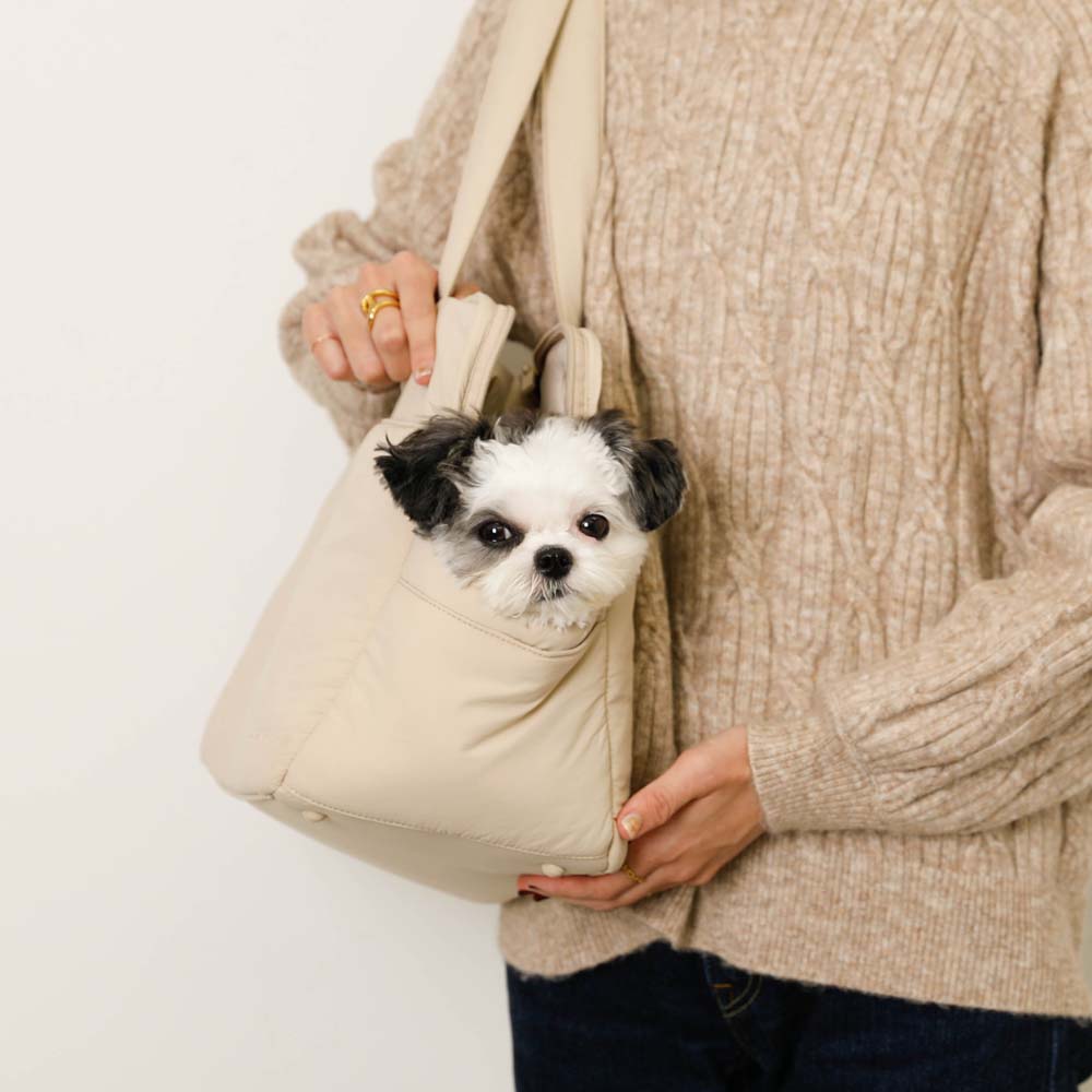 楽天市場】【LINE追加10%OFFクーポン】moncheri モンシェリ 犬 ペット