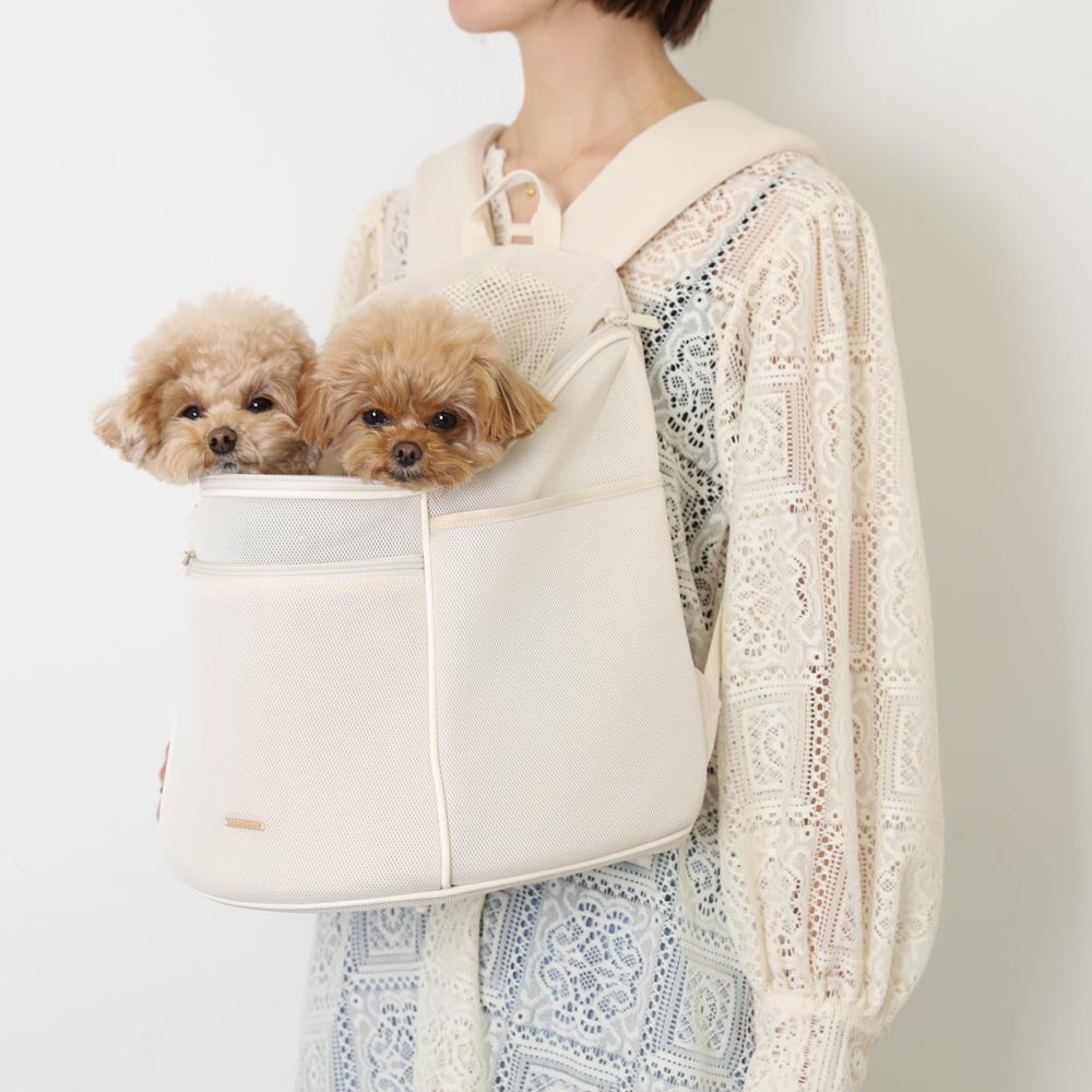 楽天市場】【LINE追加10%OFFクーポン】 moncheri モンシェリ 犬 ペット