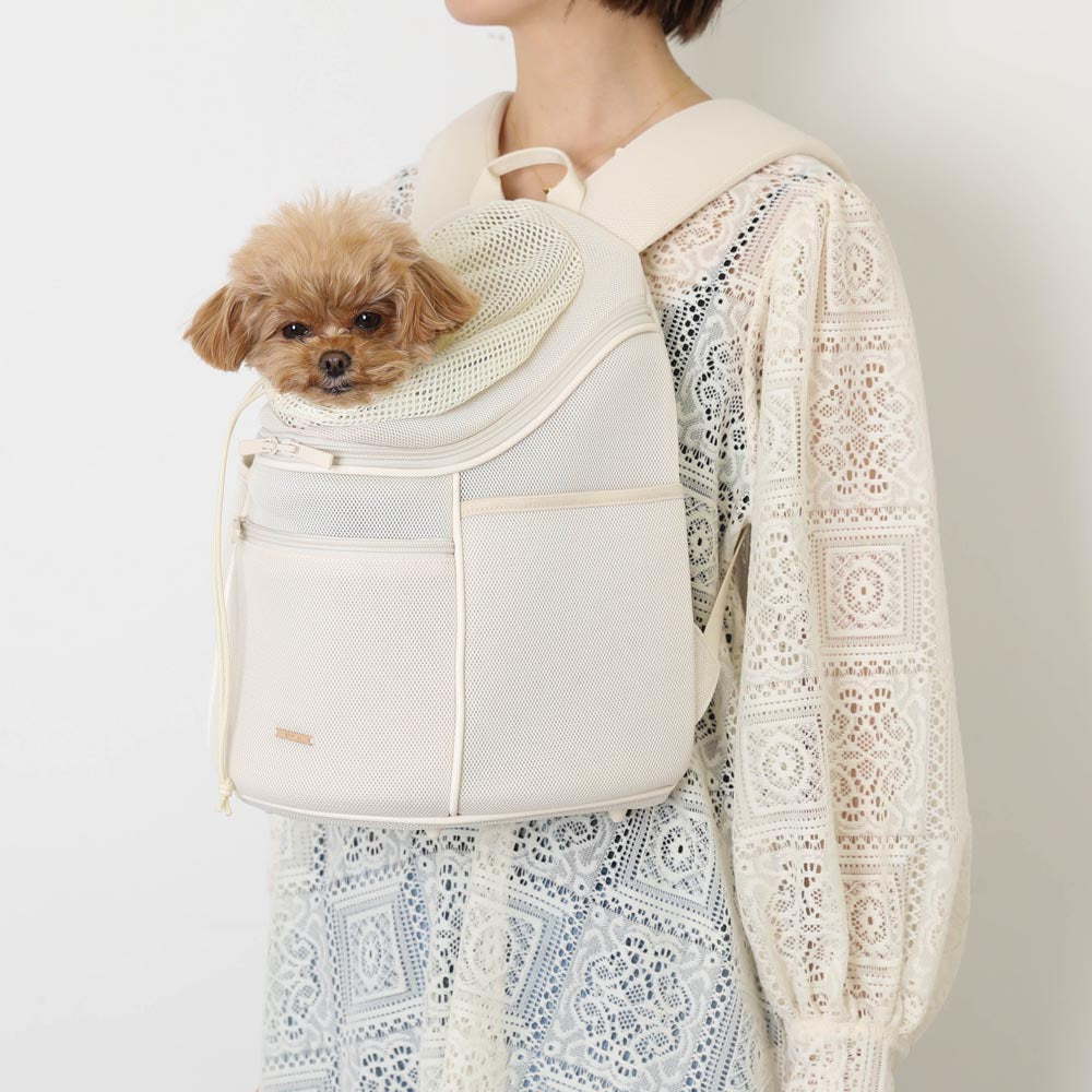 楽天市場】【LINE追加10%OFFクーポン】 moncheri モンシェリ 犬 ペット