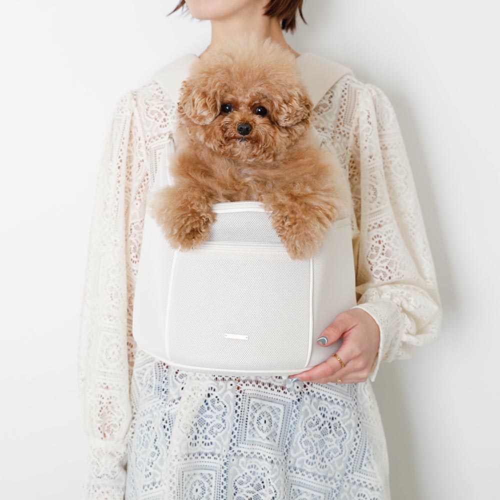 楽天市場】【LINE追加10%OFFクーポン】 moncheri モンシェリ 犬 ペット