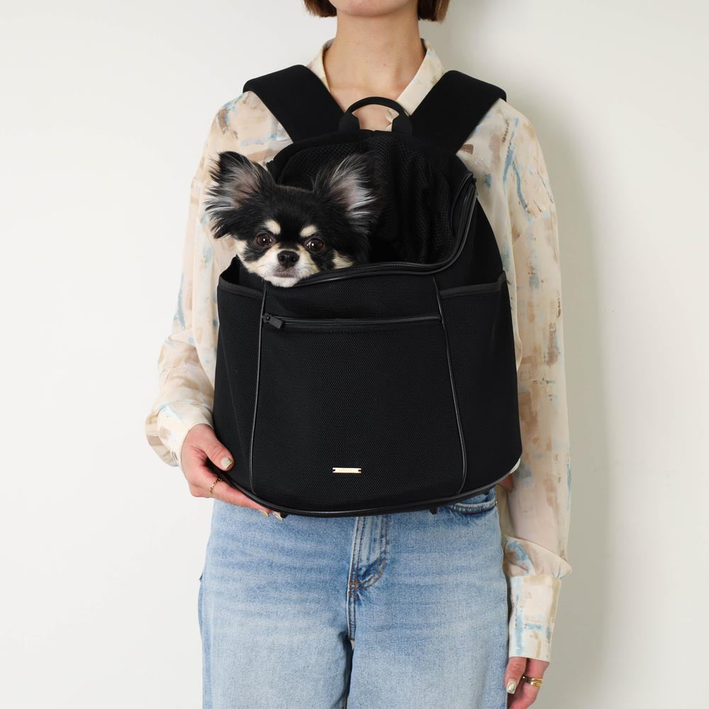 楽天市場】【LINE追加10%OFFクーポン】 moncheri モンシェリ 犬 ペット