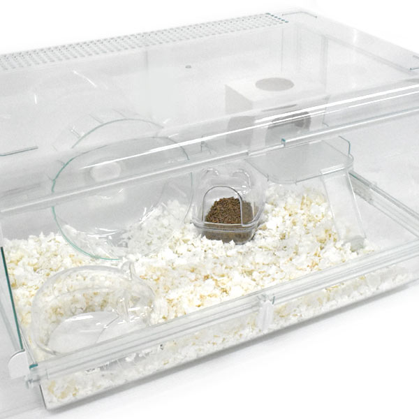 楽天市場】グラスハーモニーマルチ600N : 小動物専門店ヘヴン ☆グラス