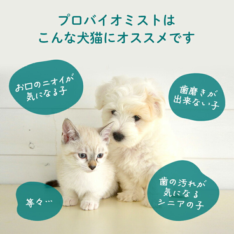 楽天市場】【送料無料】プロバイオミスト 80ml 正規品 スプレー歯磨き