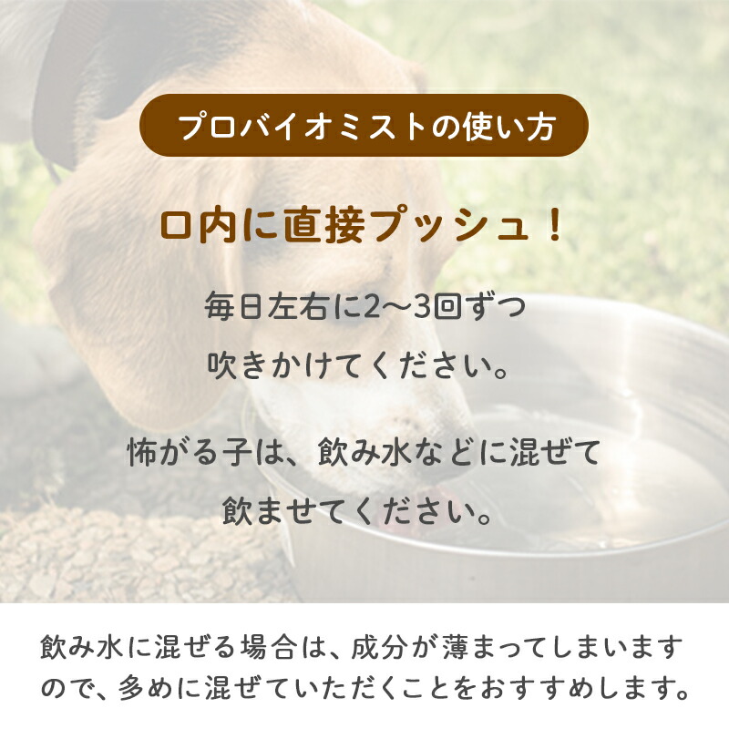 楽天市場】【送料無料】プロバイオミスト 80ml 正規品 スプレー歯磨き