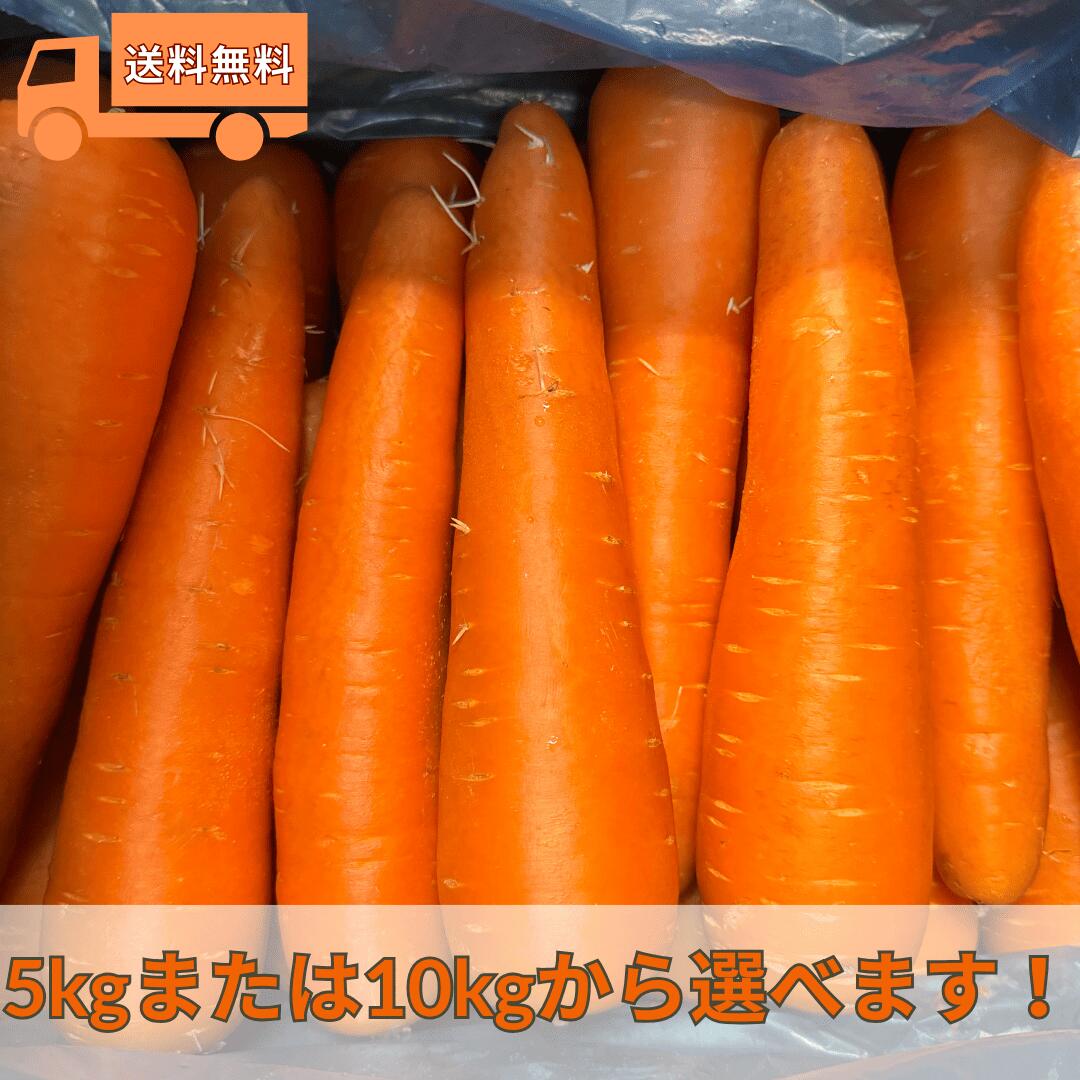 楽天市場】人参 にんじん 2Lまたは3L 大きいサイズ 業務用 ご家庭用
