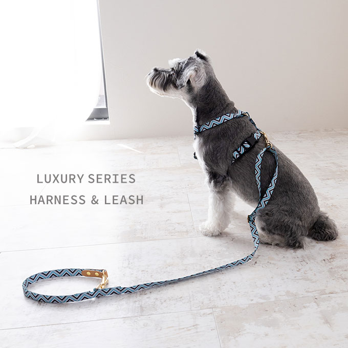 楽天市場】【今なら本革製ネームタグ プレゼント！】日本製 犬 犬用