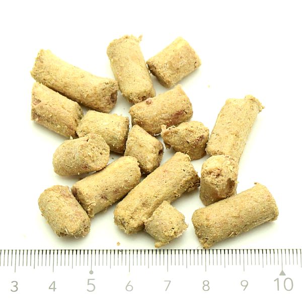 楽天市場】最短賞味2027.3.30・ベイリーコー 犬用フリーズドライ