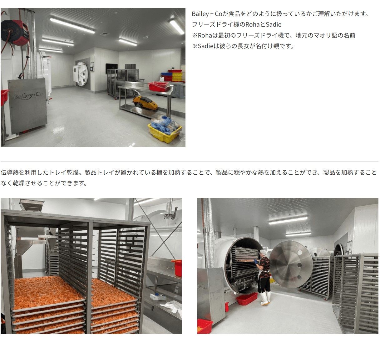 楽天市場】最短賞味2027.5.5・ベイリーコー 犬用フリーズドライ