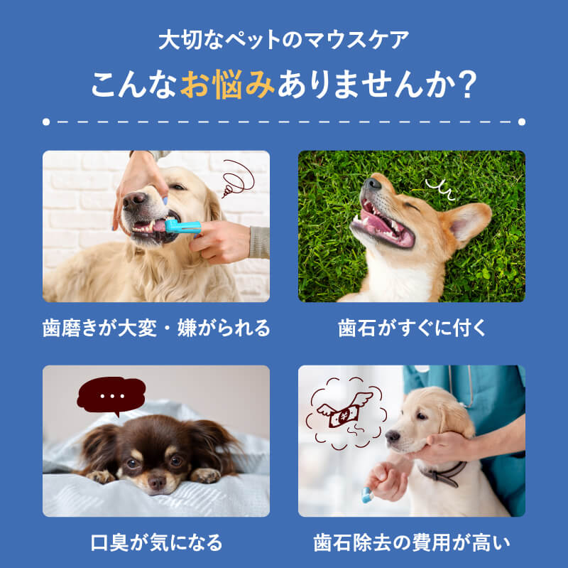 楽天市場】ペット用 飲用水 生成器 【 アニマルウォーター3 】 歯周病