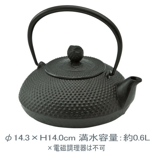 楽天市場】【安心サポート付】鉄瓶 宝寿（ミニ）池永鉄工 南部鉄瓶 0.6