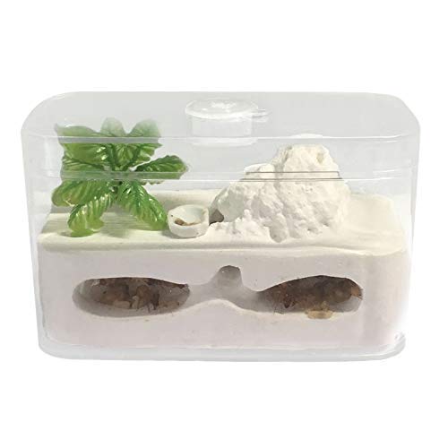 楽天市場】アリ飼育キット 石膏製巣箱 アリ城 アリ飼育セット アリ観察