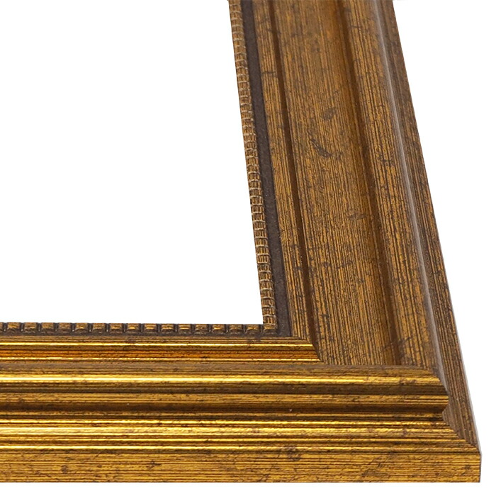 サモン F30サイズ 額縁 金色 未使用 経年 額縁 ゴールド サモン F30